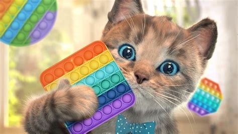 My Favorite Cat Little Kitten Preschool Play Fun Cute Fun Pet Care