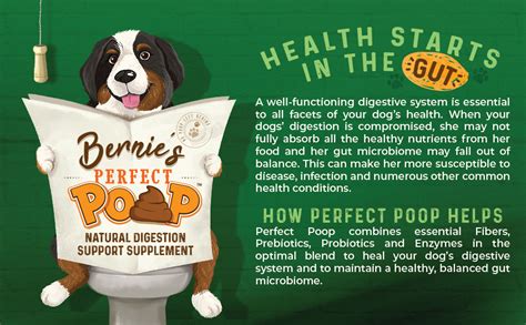 Bernies Perfect Poop Digestion And General Health Supplement For Dogs