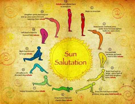 Sun Salutations Sun Salutation Yoga Day Yoga