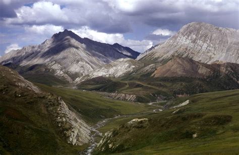 Pristine Mountain Habitats Are Also Not Safe From Climate