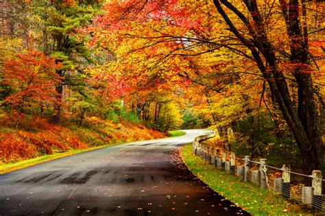 5 Fall Road Trip Ideas With Stunning Scenery And Fewer Crowds