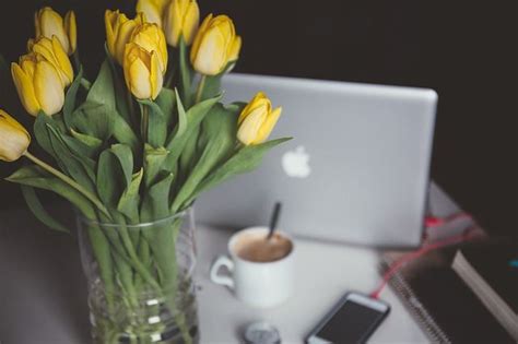 Send condolence flowers that are hand delivered, hand arranged, and come with a condolence flowers. Best Way To Send Flowers Near Me | Cheap Flowers Near Me