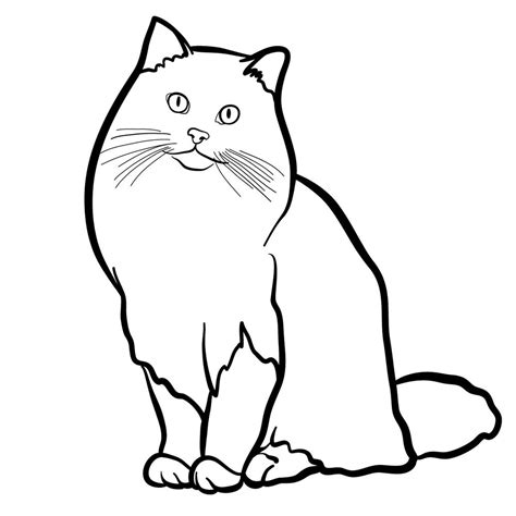 How To Draw The Ragdoll Cat Sketchok Easy Drawing Guides