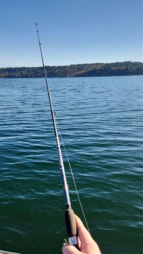 Illahee state park : r/Washington