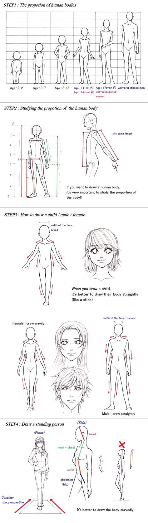 How To Draw Human Bodies By Calur On Deviantart Human Drawing