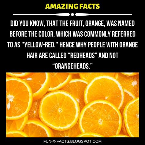 Which Came First Orange The Color Or Orange The Fruit Amazing Wtf Facts