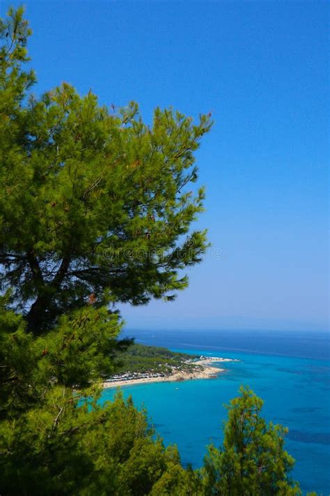 Greek Island Paradise Beach Blue Sea And Pine Tree Mediterranean Sea