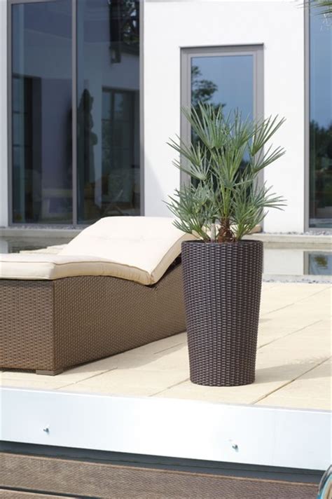 Our outdoor wooden planters are handmade using durable wood, including accoya wood and redwood pine. Baljeu Exterior Planters contemporary-outdoor-planters