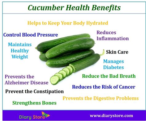 These include cherry tomatoes, stewed tomatoes, raw tomatoes, soups, juices, and purees. Cucumber Vegetable Health Benefits Nutritional Facts ...