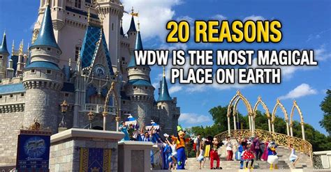 20 Reasons Walt Disney World Is The Most Magical Place On Earth