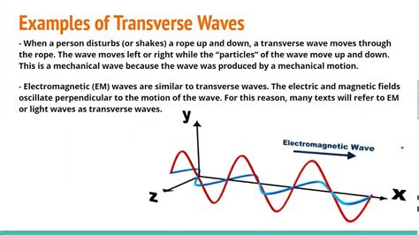 Waves Part 4 Transverse Waves Youtube