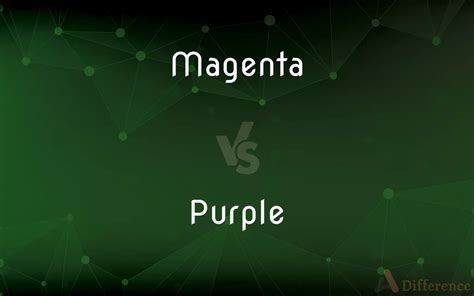 Magenta Vs Purple — Whats The Difference