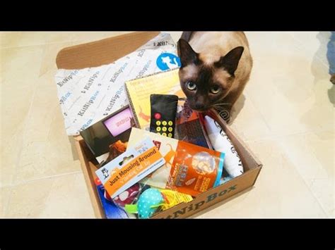 As low as $19.99/month with free shipping! MY CAT'S FIRST SUBSCRIPTION BOX! Kitnipbox unboxing review ...