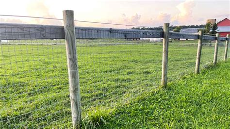 No Climb Fence Horse Safe And Maintenance Free Fence Resource
