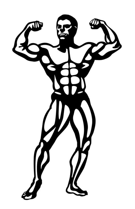 bodybuilder vector image