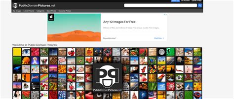 15 Of The Best Websites For Free Public Domain Images
