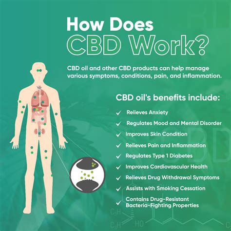 cbd oil will cbd work for me soothing solutions