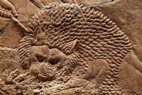 Lion Frieze Assyrian In Ancient Assyria Lion Hunting Was Considered