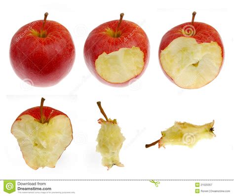 Apple Stock Image Image Of Isolated Collection Nutrition 21020357