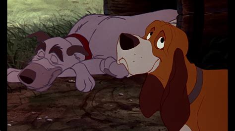 The Fox And The Hound 2 Animation Screencaps