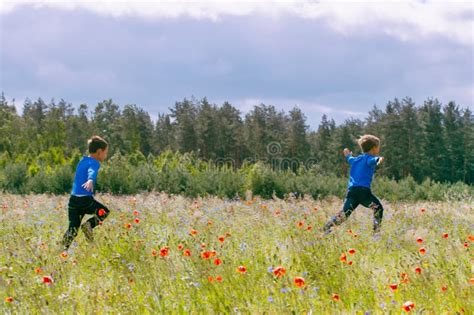 Happy Children Running On Beautiful Meadow Field Stock Image Image