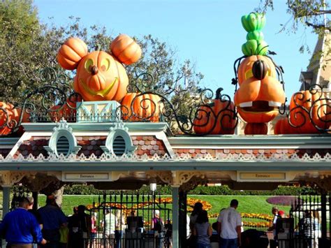 We did not find results for: mickey and goofy pumpkins (With images) | Disney halloween ...