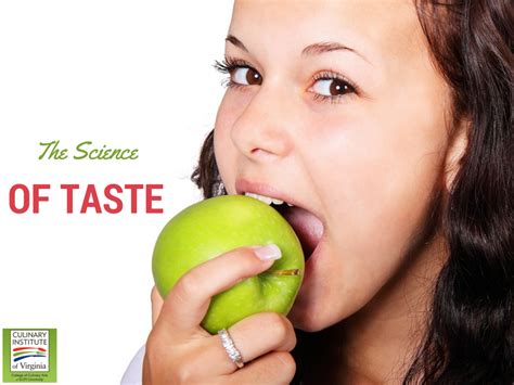 The Science Of Taste How Does Taste Work Anyway Ecpi University