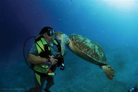 Coron Diving Packages Palawan Dive Sites Wreck Diving Dive Center