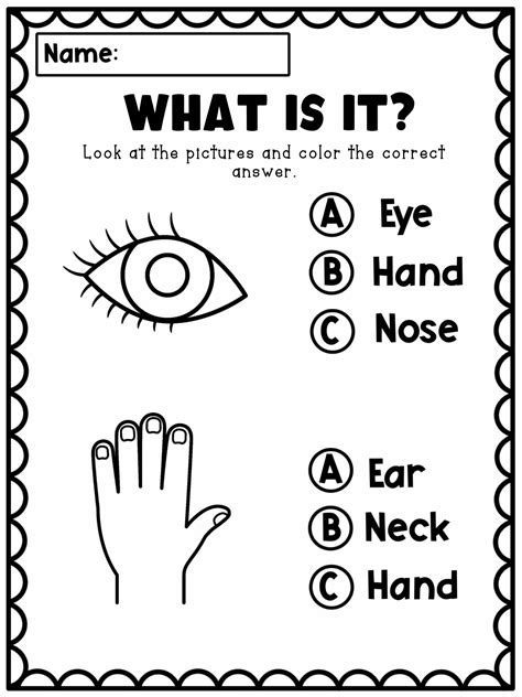 Body Parts Worksheets For Kids Made By Teachers