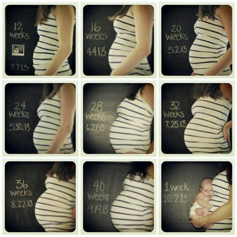 My Monthly Baby Bump Pix Courtesy Of My 4 Year Old Baby