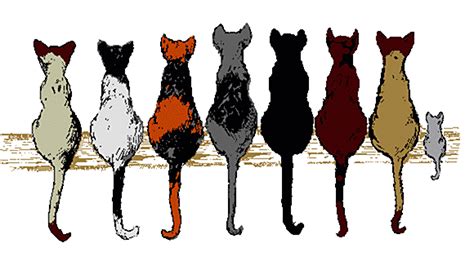 Clipart Alley Cats Clip Art Library