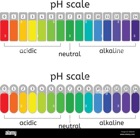 Vector Ph Scale Of Acidic Neutral And Alkaline Value Chart For Acid And Alkaline Solutions Ph