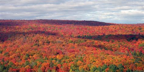 Best Spots To See The Fall Colors Mn Along The North Shore