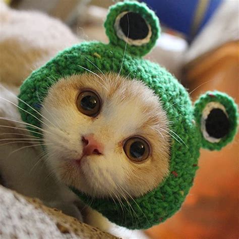 Hillento Pet Hat Dog Cat Pet Cap Handmade Knitted Woolen Yarn Hat For