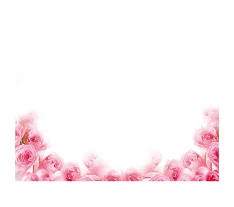 Pink Rose Border Clipart 10 Free Cliparts Download Images On