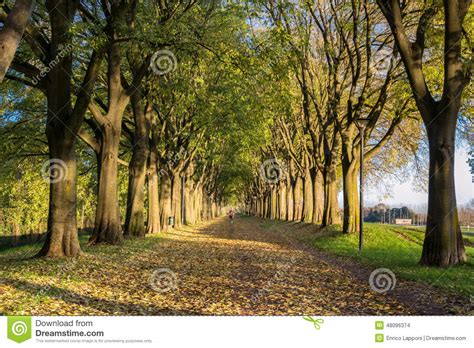 The Walls Of Ferrara During Autumn Stock Photo Image Of