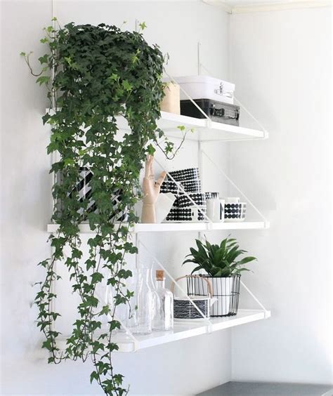 9 Gorgeous Ways To Decorate With Plants Melyssa Griffin Sovrum