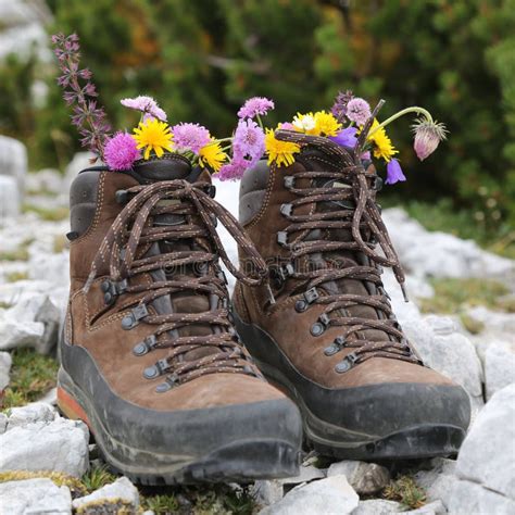 Hiking Boots With Flowers In The Mountains Stock Image Image Of Boot Nature
