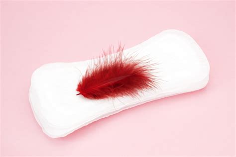 „period Sex Blanket“ Us Firma Thinx Bringt Decke Für Periodensex Auf