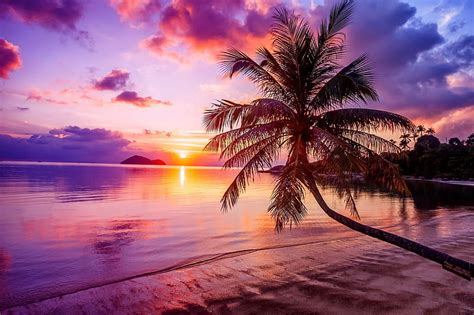 Tropical Sunset Ocean Sunset Tropics Reflection Palms Sea