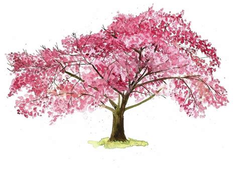 Amazing Cherry Blossom Tree Tattoos Latest Desings For