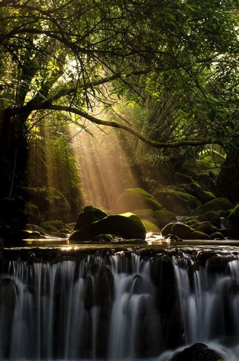 66 Best Natures Rays Of Hope Images On Pinterest
