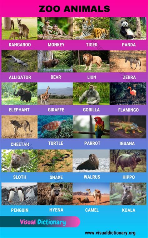 Animals 1000 Animal Names Great List Of All Animals