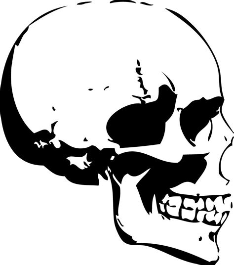 Human Skull Side View Totenköpfe Vorlagen