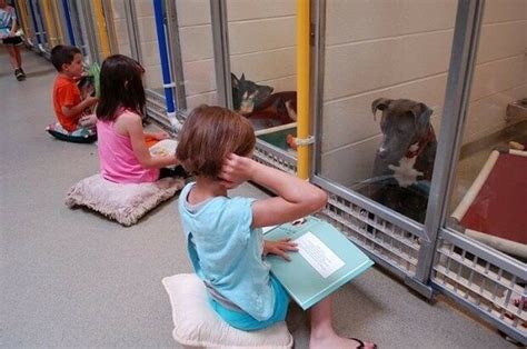 Kids Read To Shy Shelter Dogs To Help Socialise Them