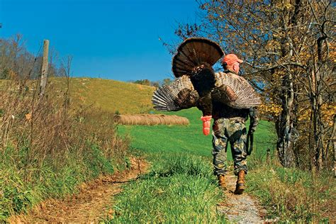 Going For Gobblers Where To Go Fall Turkey Hunting In Ohio Game And Fish