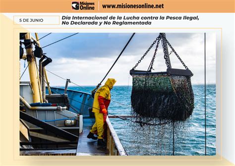 Hoy se conmemora el Día Internacional de la Lucha contra la Pesca Ilegal no declarada y no