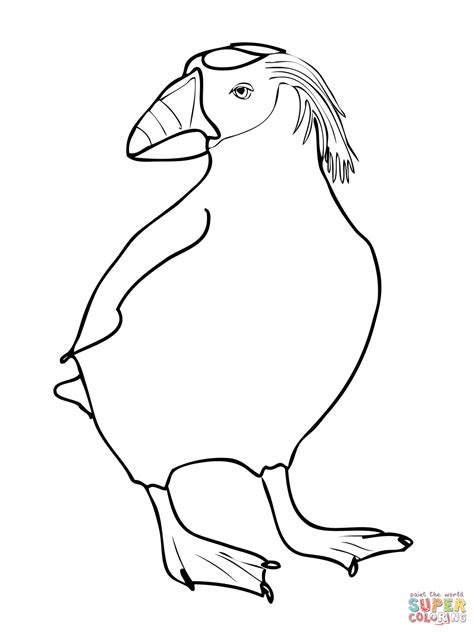 Some tips for printing these coloring pages: Puffin Coloring Page - Coloring Home