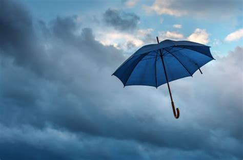 Should Damages Rain Down On Umbrella Purchasers Thecourtca