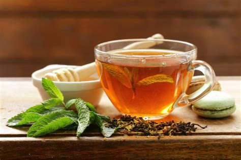 Des méthodes pour sécher les feuilles de menthe afin de les conserver